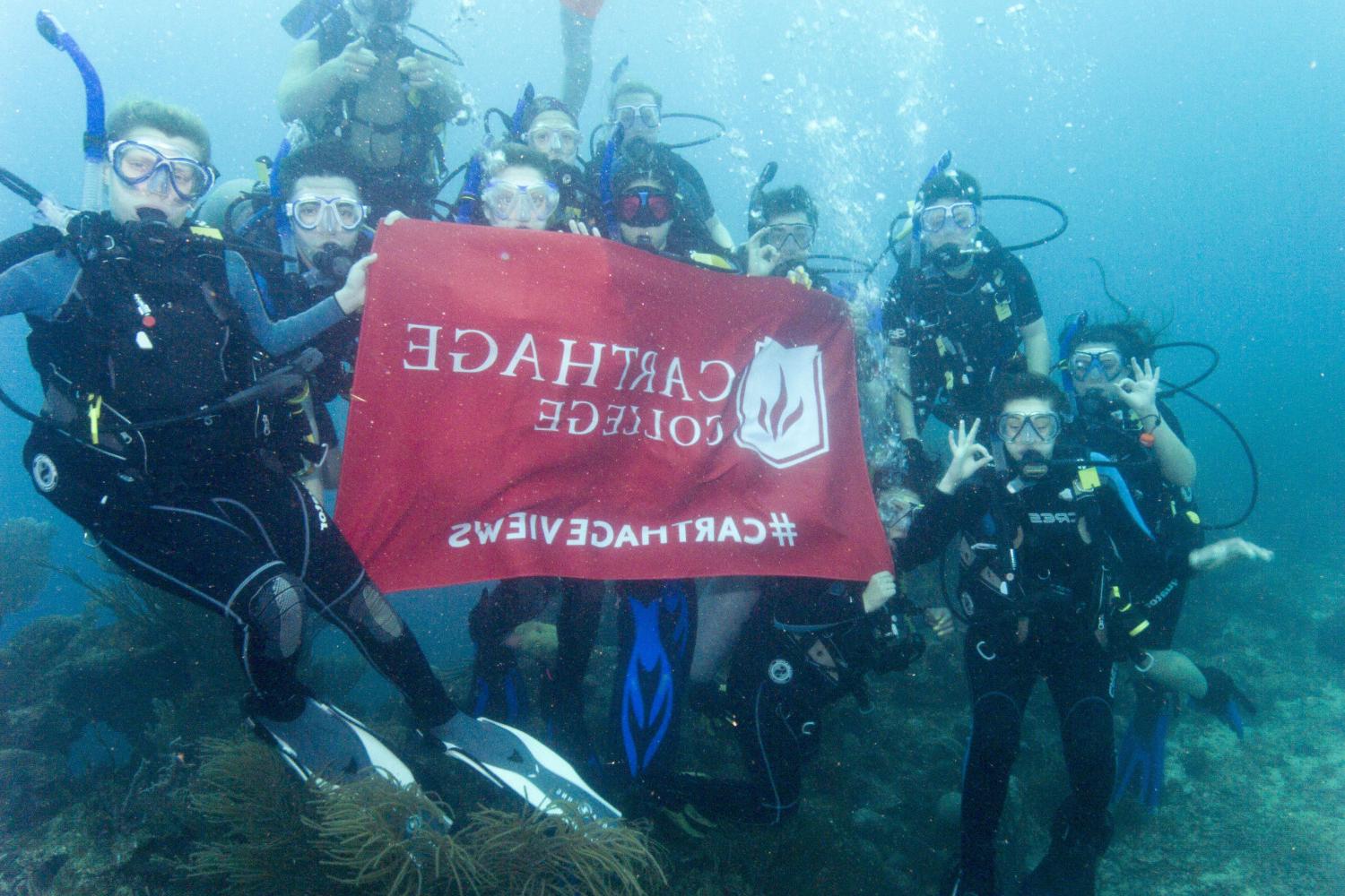 学生们手持<a href='http://xwnw.ngskmc-eis.net'>博彩网址大全</a>旗帜，在j学期洪都拉斯游学之旅中潜水.